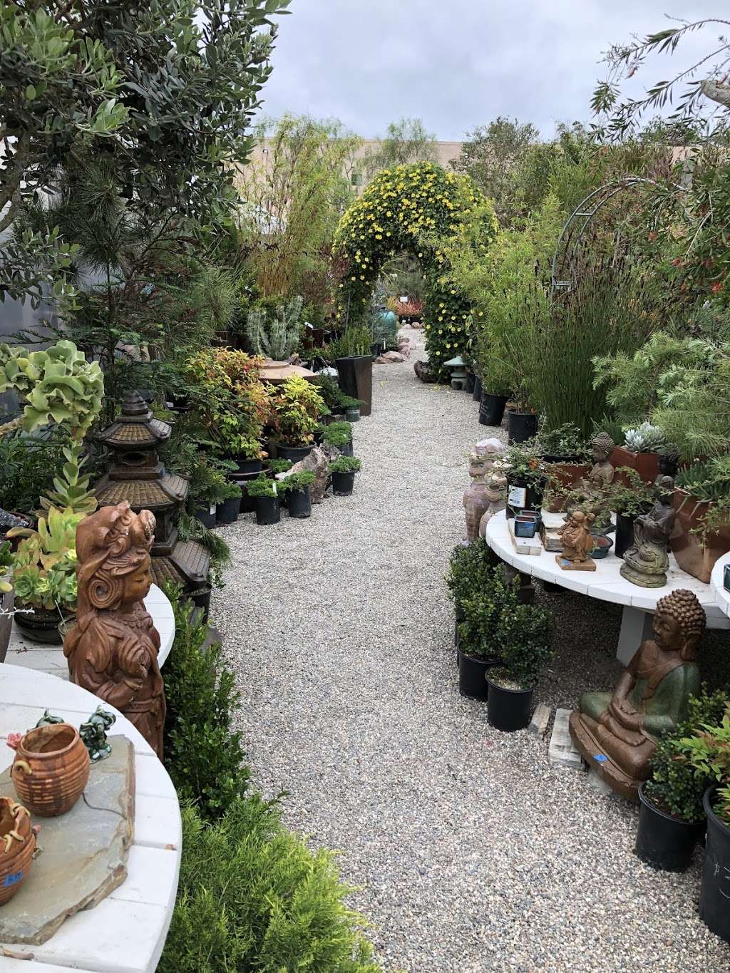 Gardens By The Sea Nursery | 1500 N Coast Hwy 101, Encinitas, CA 92024, USA | Phone: (760) 840-0270