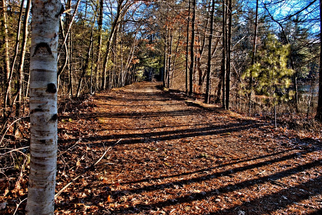 Cranberry Bog Reservation parking | 65 Elm St, Chelmsford, MA 01824 | Phone: (978) 250-5201