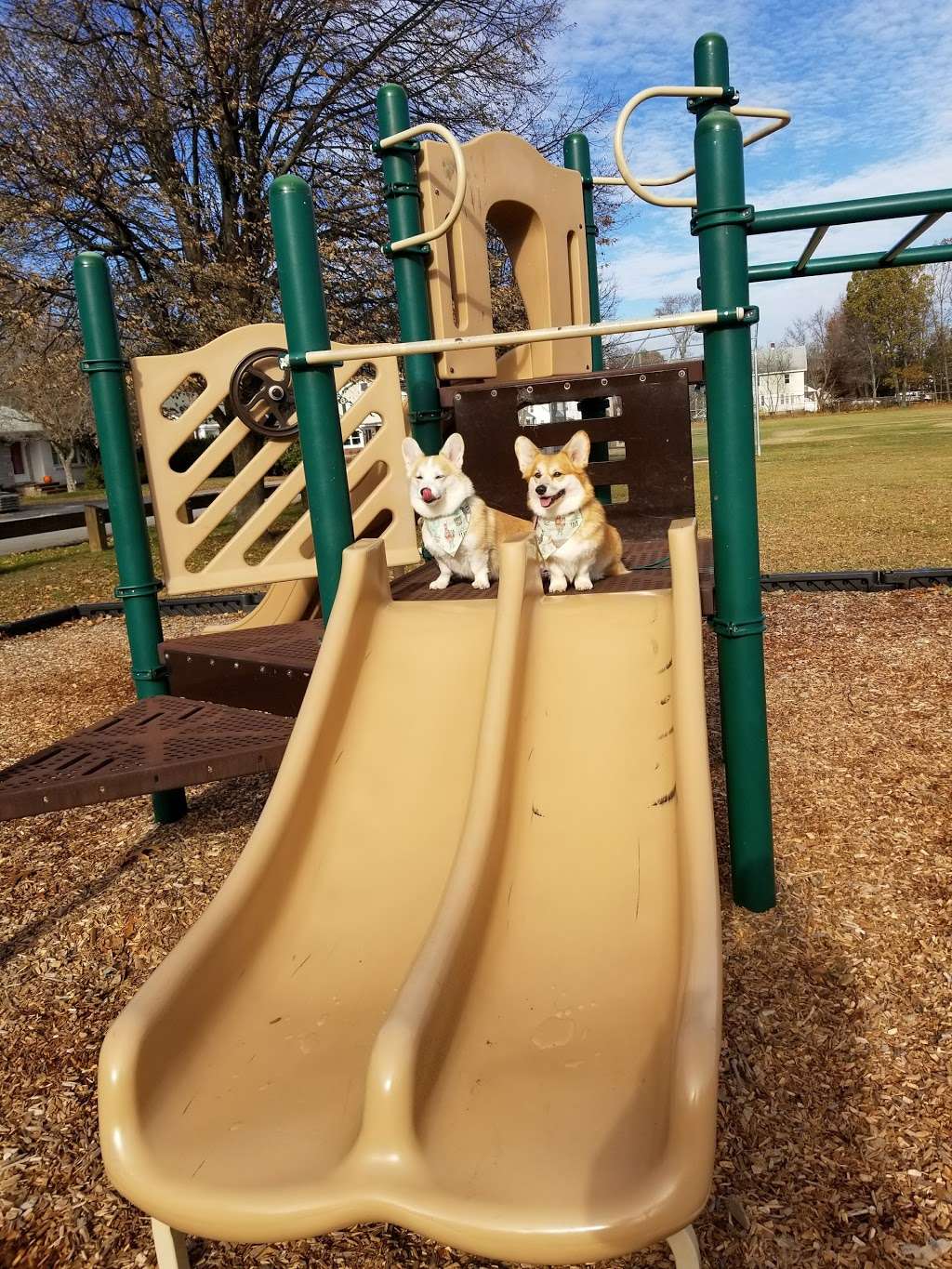 Anna Murphy Playground | Framingham, MA 01702, USA