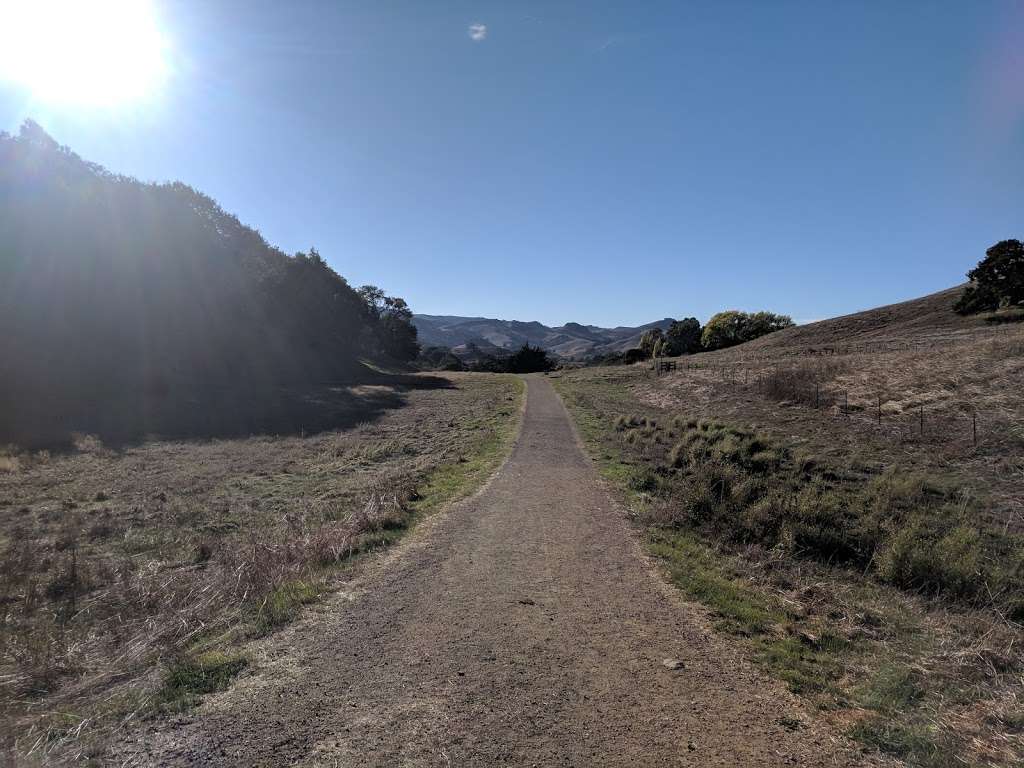 Little Mountain Open Space Preserve | Unnamed Road, Novato, CA 94947