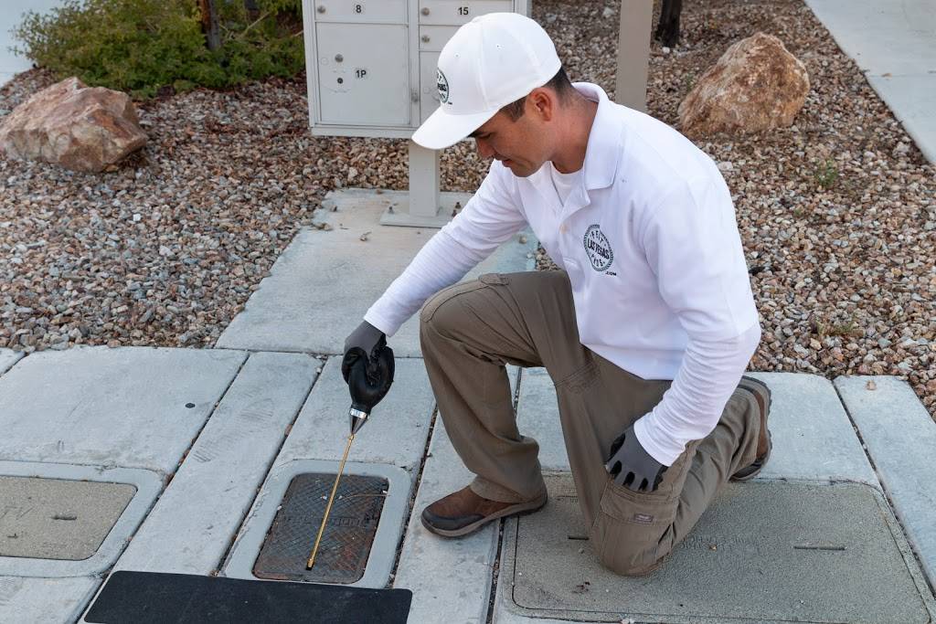 Pest Pros Las Vegas | 7271 Bugler Swan Way, North Las Vegas, NV 89084 | Phone: (702) 969-7767