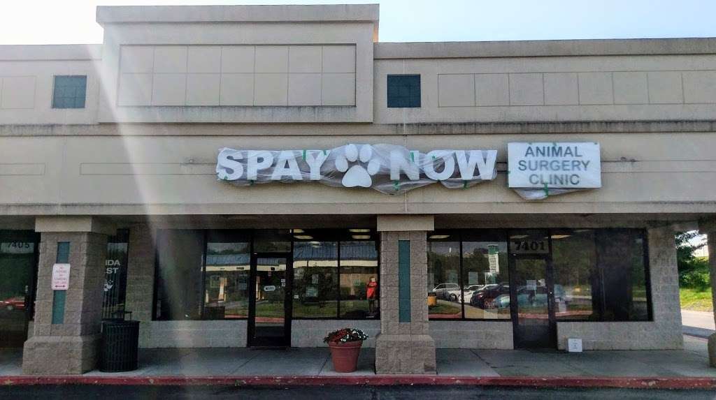 Spay Now Animal Surgery Clinic - Laurel | 7401 Van Dusen Rd, Laurel, MD 20707, USA | Phone: (301) 483-7080