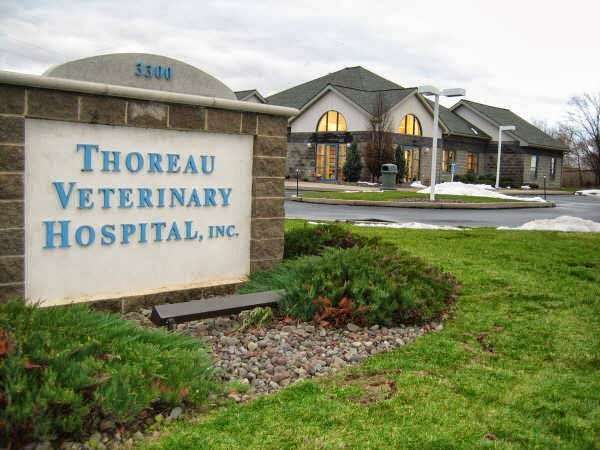 Thoreau Veterinary Hospital | 3300 Fox Hill Rd, Easton, PA 18045 | Phone: (610) 559-0728
