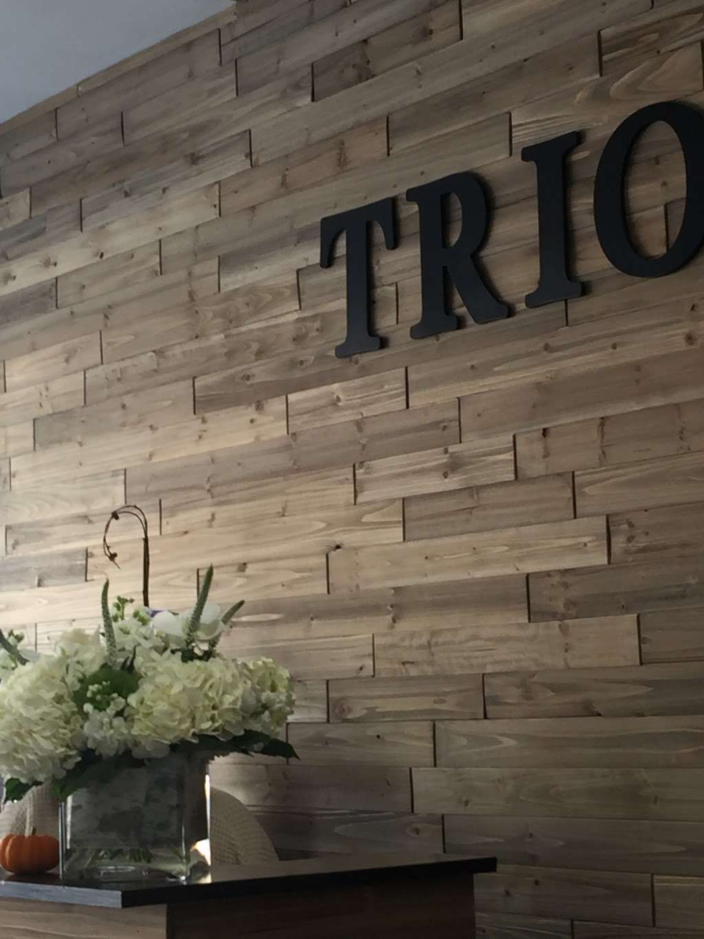 Trio Salon | 54 Christie Pl, Scarsdale, NY 10583, USA | Phone: (914) 472-1412