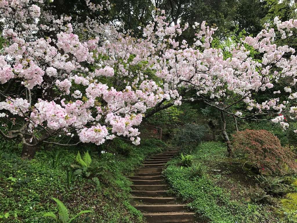 Hakone Estate and Gardens | 21000 Big Basin Way, Saratoga, CA 95070, USA | Phone: (408) 741-4994