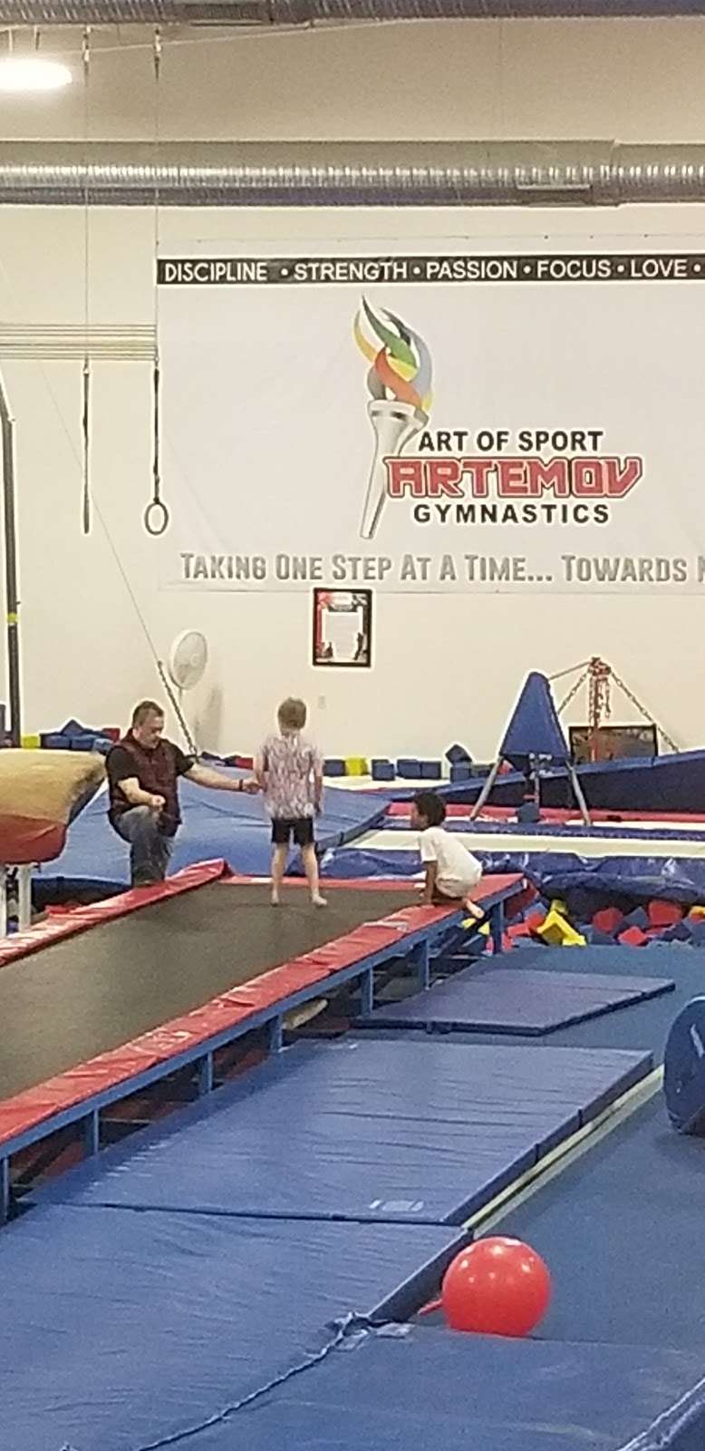 Artemov Gymnastics | 21750 Hardy Oak Blvd, San Antonio, TX 78258, USA | Phone: (210) 497-5000