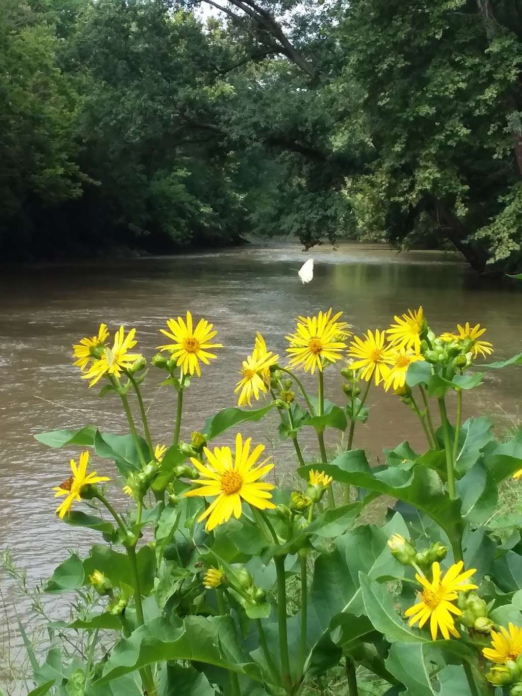 Morrows Meadow | 1901 S Tiger Dr, Yorktown, IN 47396, USA | Phone: (765) 759-8521