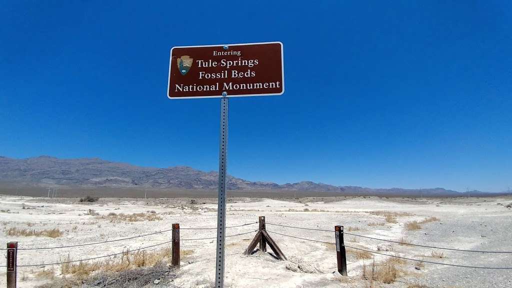 Tule Springs Fossil Beds National Monument | N Aliante Pkwy, North Las Vegas, NV 89085 | Phone: (702) 293-8853