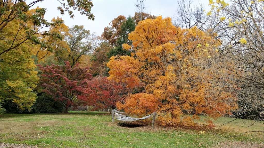 Tyler Arboretum | 515 Painter Rd, Media, PA 19063, USA | Phone: (610) 566-9134