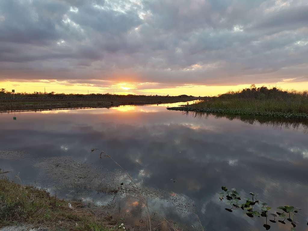 L-67 / L-67 C | Everglades, FL, USA