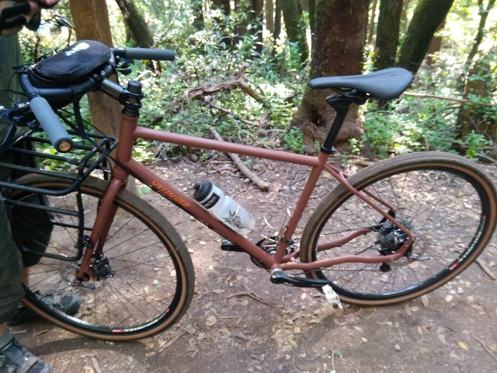 Rincon Parking Lot, Henry Cowell SP | CA-9, Santa Cruz, CA 95060