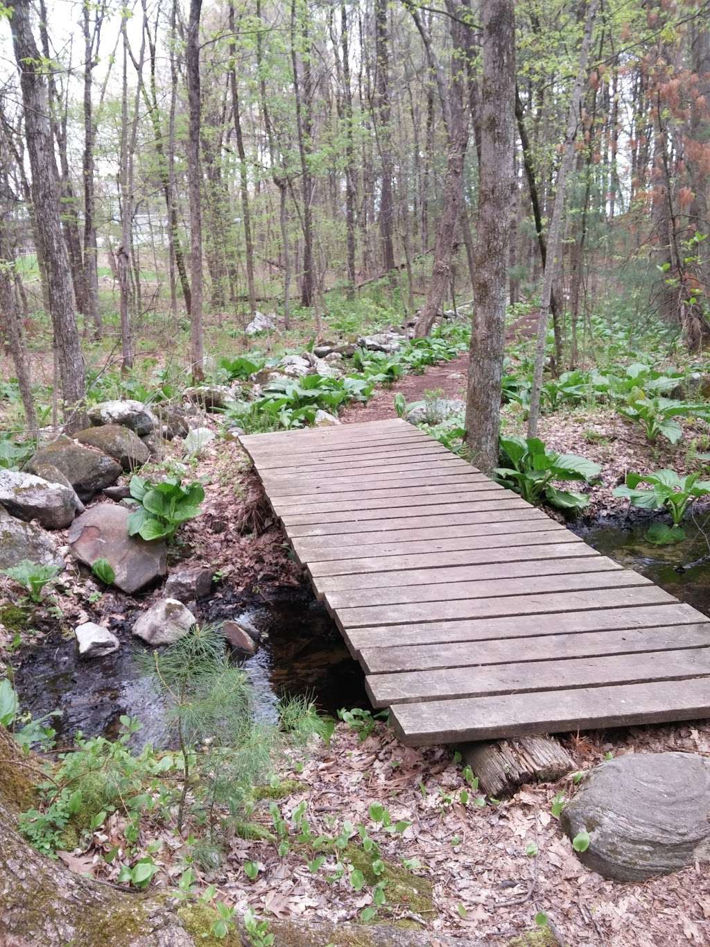 Pratts Brook Conservation Area | 108R Parker St, Acton, MA 01720 | Phone: (978) 929-6634