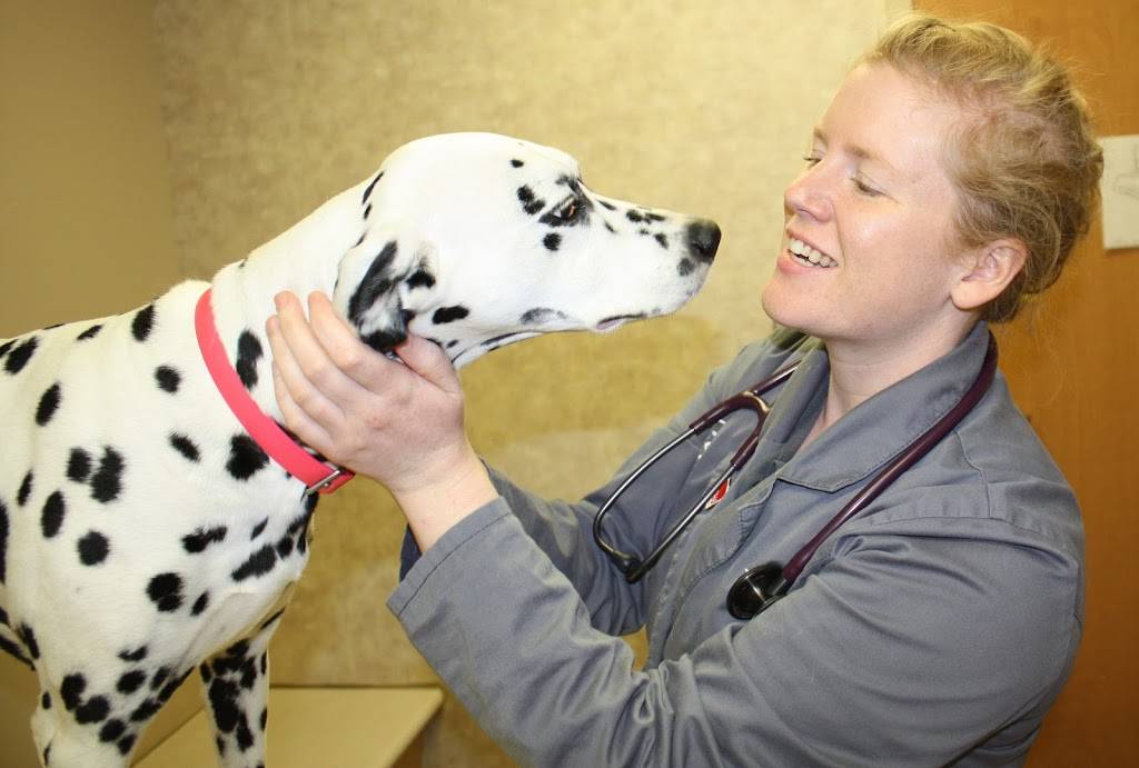 Ralston Vet | 6880 S 78th St, Ralston, NE 68127, USA | Phone: (402) 331-6322