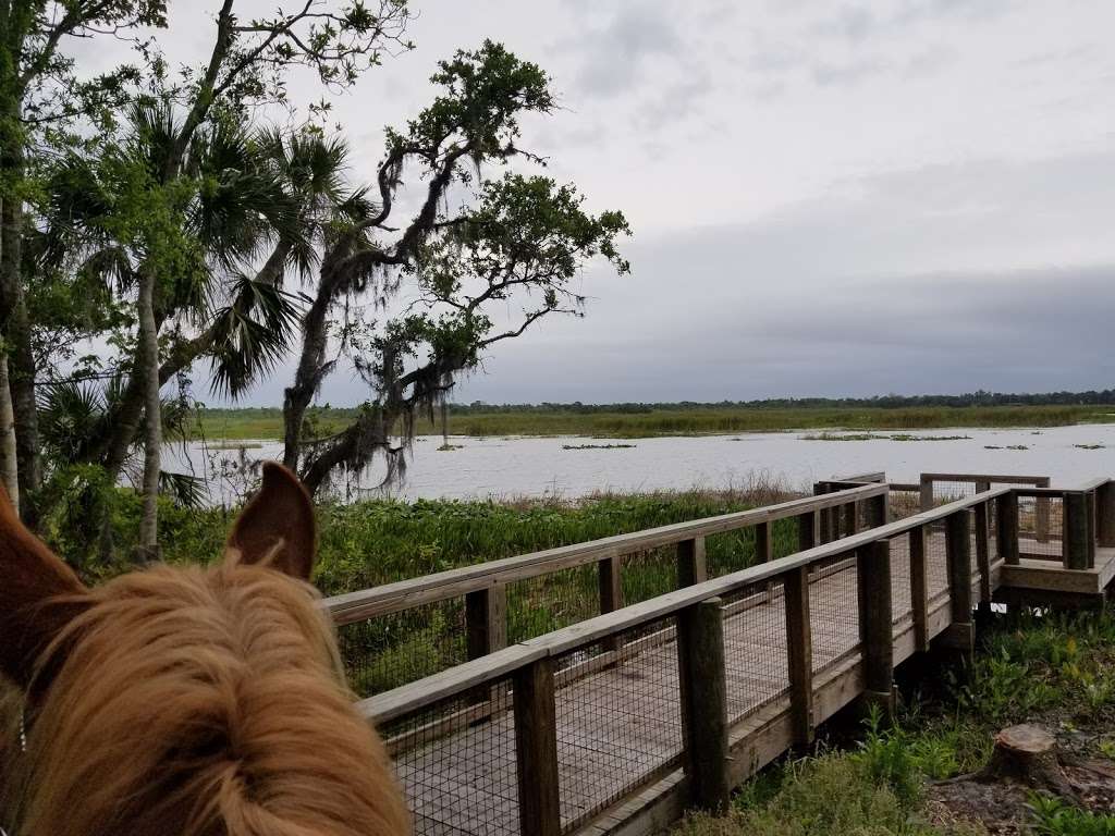 Salt Lake Wildlife Management Area | Mims, FL 32754, USA