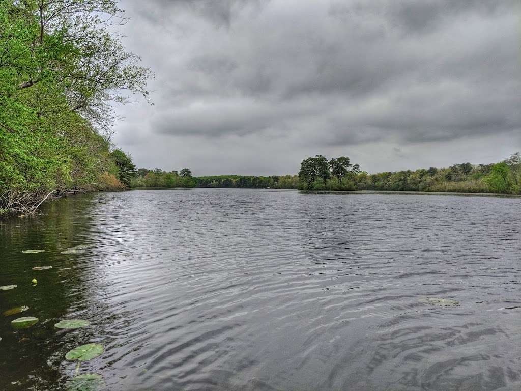 Union Lake Wildlife Management Area | County Rd 552, Millville, NJ 08332, USA