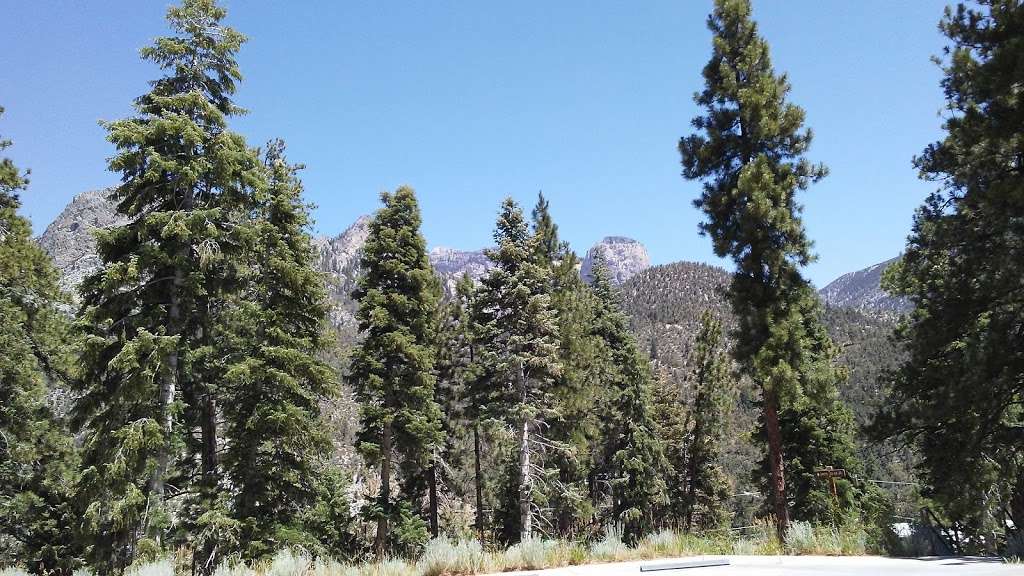 CATHEDRAL ROCK PICNIC AREA | Toiyabe, Coleville, NV 96107, USA | Phone: (801) 226-3564