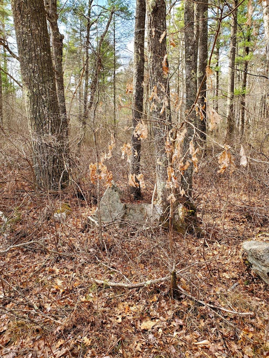 Rocky Gutter Wildlife Management Area | Middleborough, MA 02346, USA | Phone: (508) 946-2440