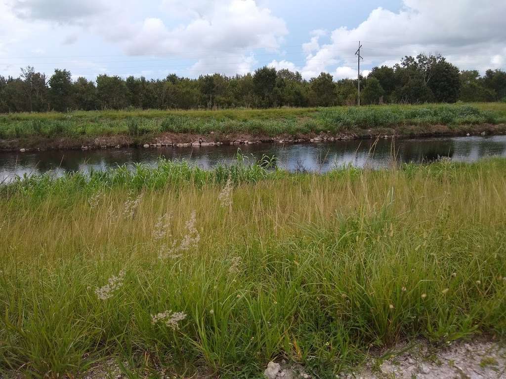 Holey Land Wildlife Management Area | Florida, USA