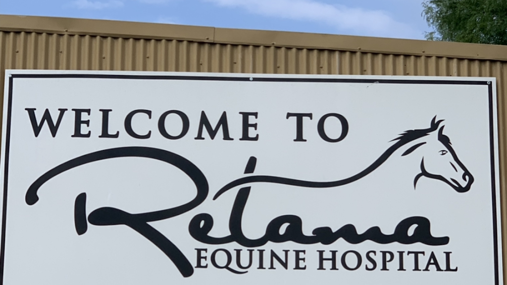 Retama Equine Hospital | 17555 Old Evans Rd, Selma, TX 78154, USA | Phone: (210) 651-6375