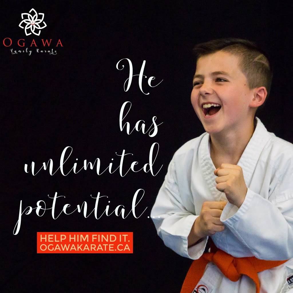 Ogawa Family Karate | 1485 Garrison Rd, Fort Erie, ON L2A 1P8, Canada | Phone: (289) 271-9822