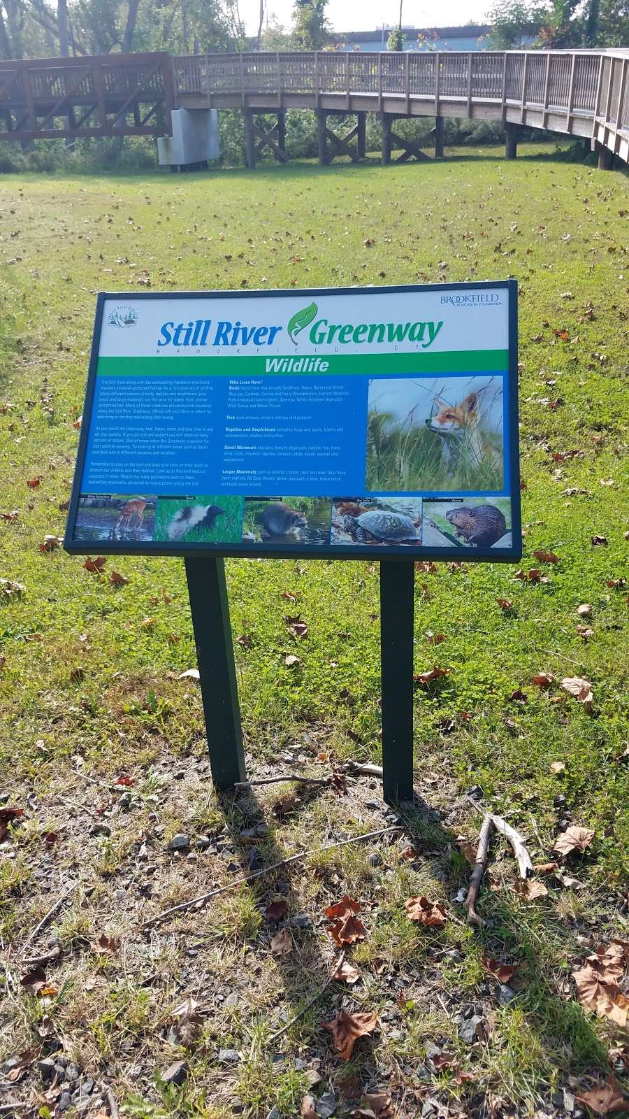 Still River Greenway | 65 Silvermine Rd, Brookfield, CT 06804, USA | Phone: (203) 775-7300