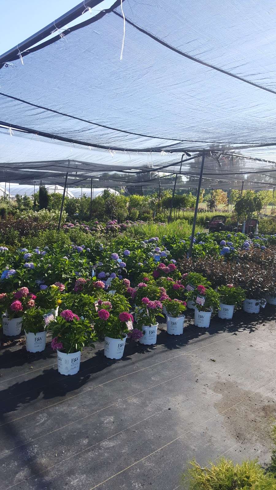 Wells Landscaping | 3680 W US Hwy 40, Greenfield, IN 46140, USA | Phone: (317) 658-8143