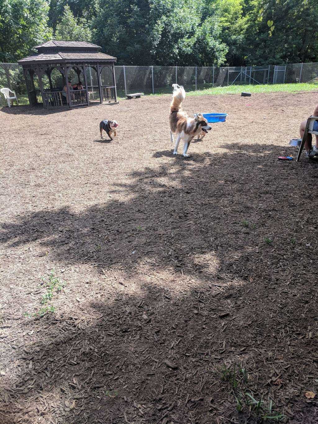 Ma & Pa Dog Park | Bel Air, MD 21014, USA | Phone: (410) 638-3570