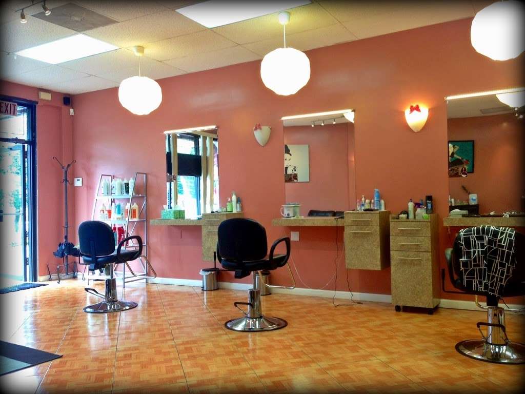 Hair By Nora | 714 E Jericho Turnpike, Huntington Station, NY 11746 | Phone: (631) 923-3388