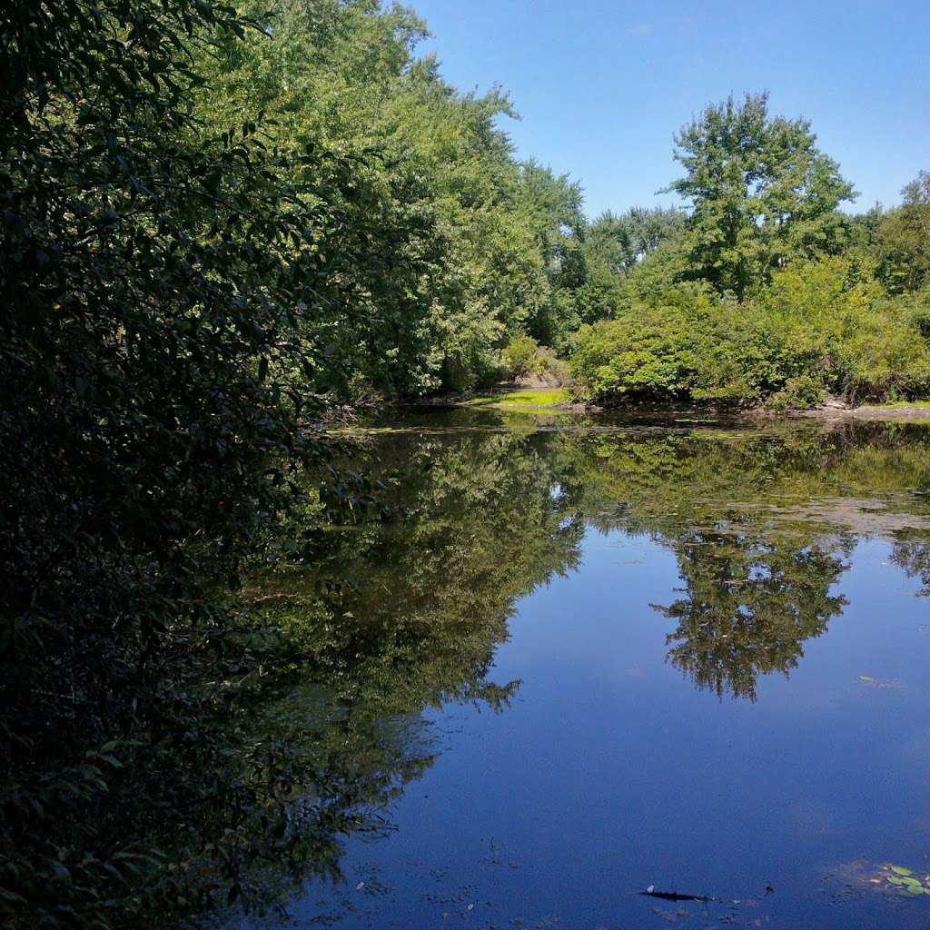 Caratunk Wildlife Refuge - Audubon Society of RI | 301 Brown Ave, Seekonk, MA 02771 | Phone: (401) 245-7500 ext. 3201