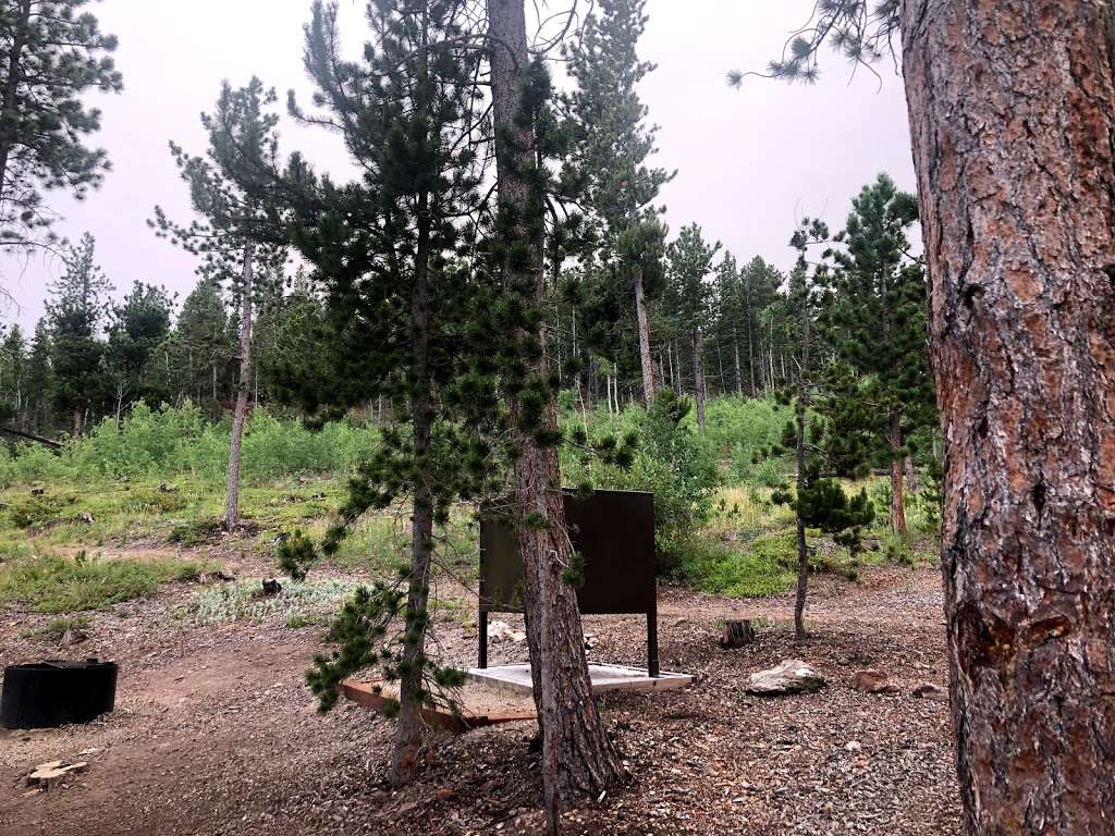 Kelly Dahl Campground | CO-119, Nederland, CO 80466, USA | Phone: (303) 541-2500