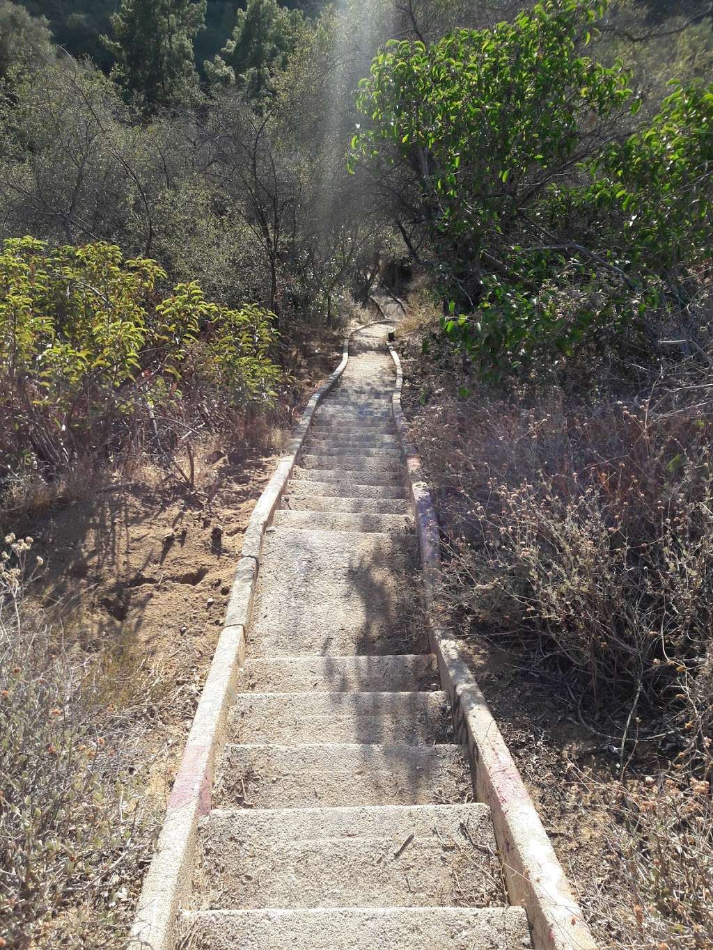 Murphy Ranch West Stairs | Los Angeles, CA 90049, USA