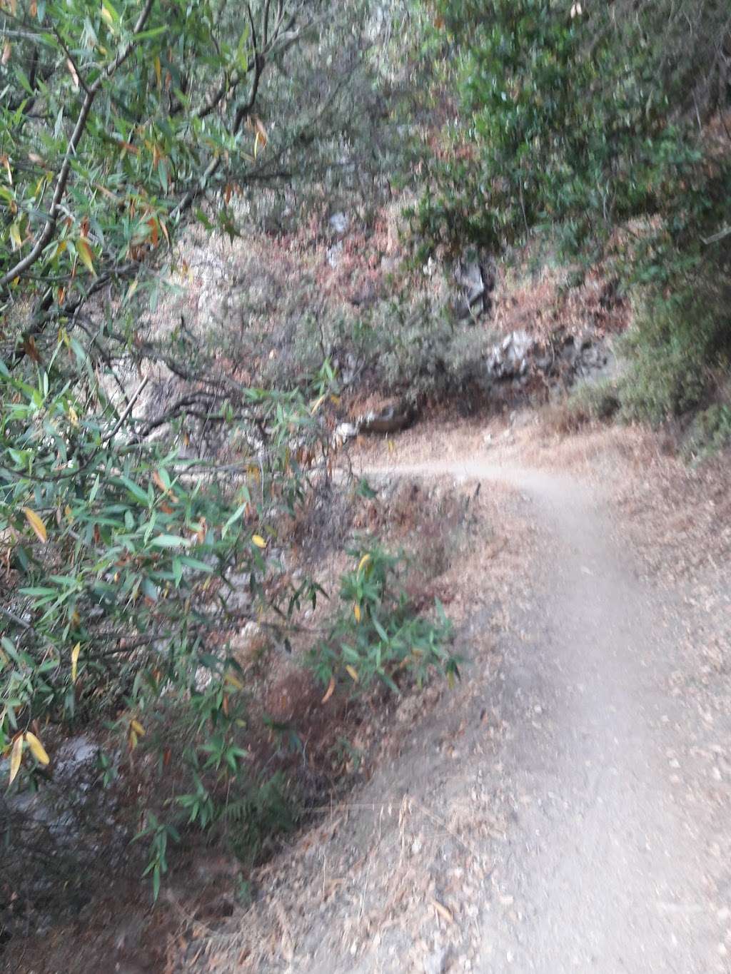 Winter Creek Trail | Winter Creek Trail, Sierra Madre, CA 91024, USA
