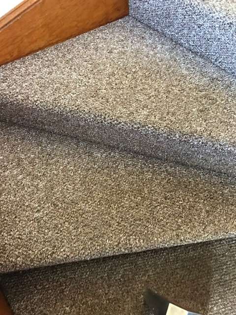 Ms. Carpet Clean | Carpet Cleaning Massachusetts | 30 Summit Rd, Saugus, MA 01906, USA | Phone: (781) 233-5800