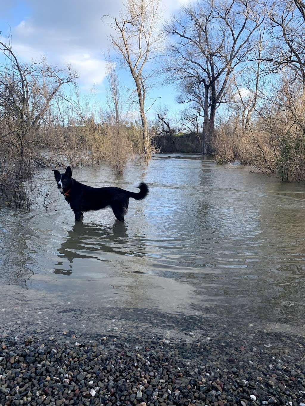 Shadow Cliffs Regional Recreation Area | 2500 Stanley Blvd, Pleasanton, CA 94566, USA | Phone: (510) 544-3230