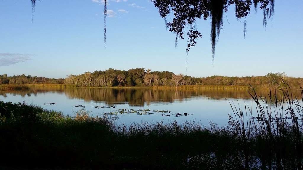 Lake David Park | 450 S Lake Ave, Groveland, FL 34736 | Phone: (352) 429-2141