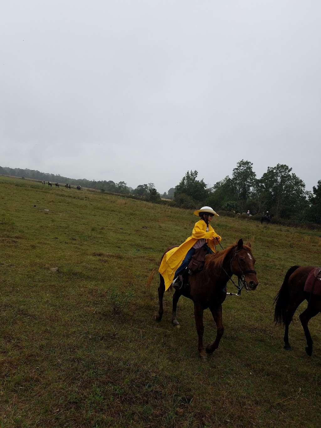 Wagon Train Trail Ride | 7001-, 7199 Old Melbourne Hwy, St Cloud, FL 34771, USA