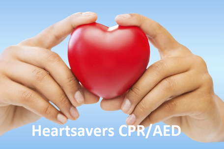 Tampa Bay Heart Savers | 2907 W Bay to Bay Blvd Suite 204, Tampa, FL 33629, USA | Phone: (813) 820-0990