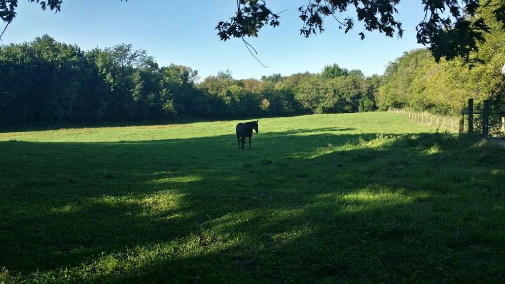 Buckley Homestead County Park | Lowell, IN 46356, USA