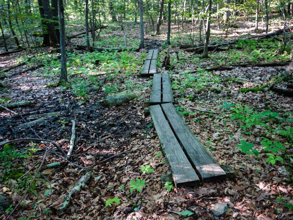 Appalachian Trail | Appalachian Trail, Sussex, NJ 07461, USA