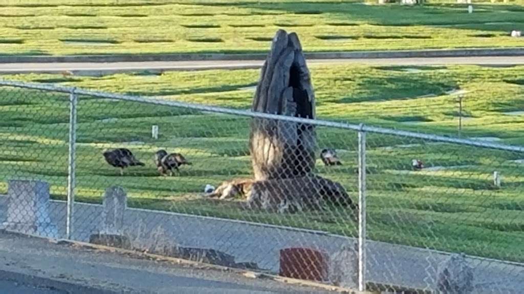 Lone Tree Cemetery | 24591 Fairview Ave, Hayward, CA 94542, USA | Phone: (510) 582-1274