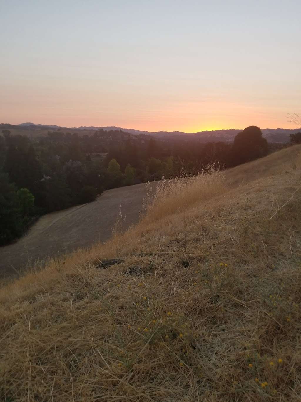 Franco Ranch Loop Trail | Walnut Creek, CA 94596, USA