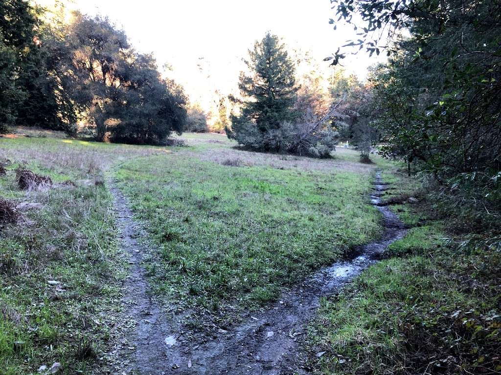 Crown Meadow | Santa Cruz, CA 95064, USA