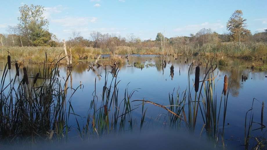 Wootons Landing Wetland Park | 4550 Sands Rd, Harwood, MD 20776, USA | Phone: (410) 741-9330