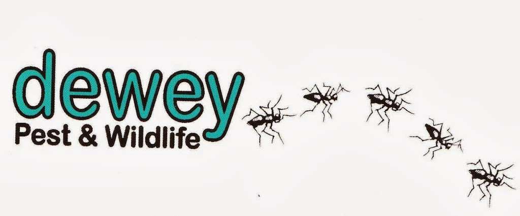 Dewey Pest & Wildlife | 1 Condon Way, Hopedale, MA 01747, USA | Phone: (508) 473-1800