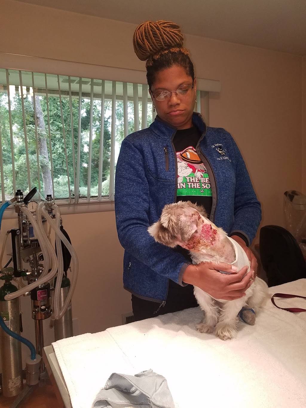 Atlanta Veterinary Skin & Allergy Clinic, PC | 2803 Shallowford Rd, Atlanta, GA 30341, USA | Phone: (770) 936-8922