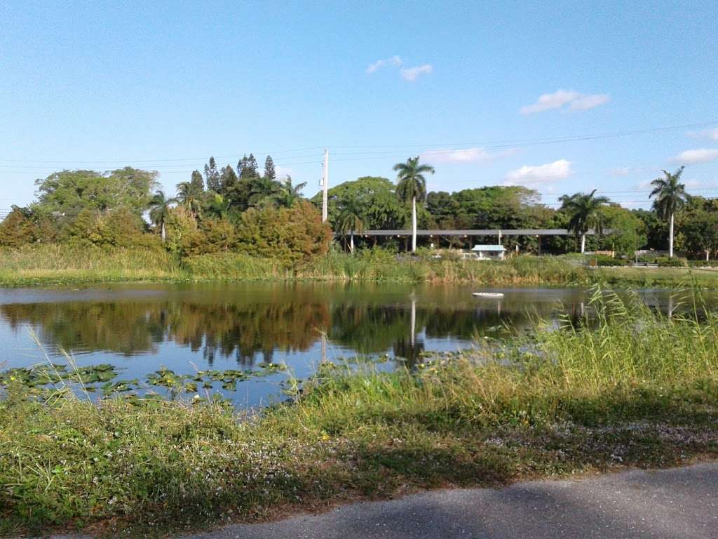 Dreher Dog Park | Dreher Trail S, West Palm Beach, FL 33405, USA