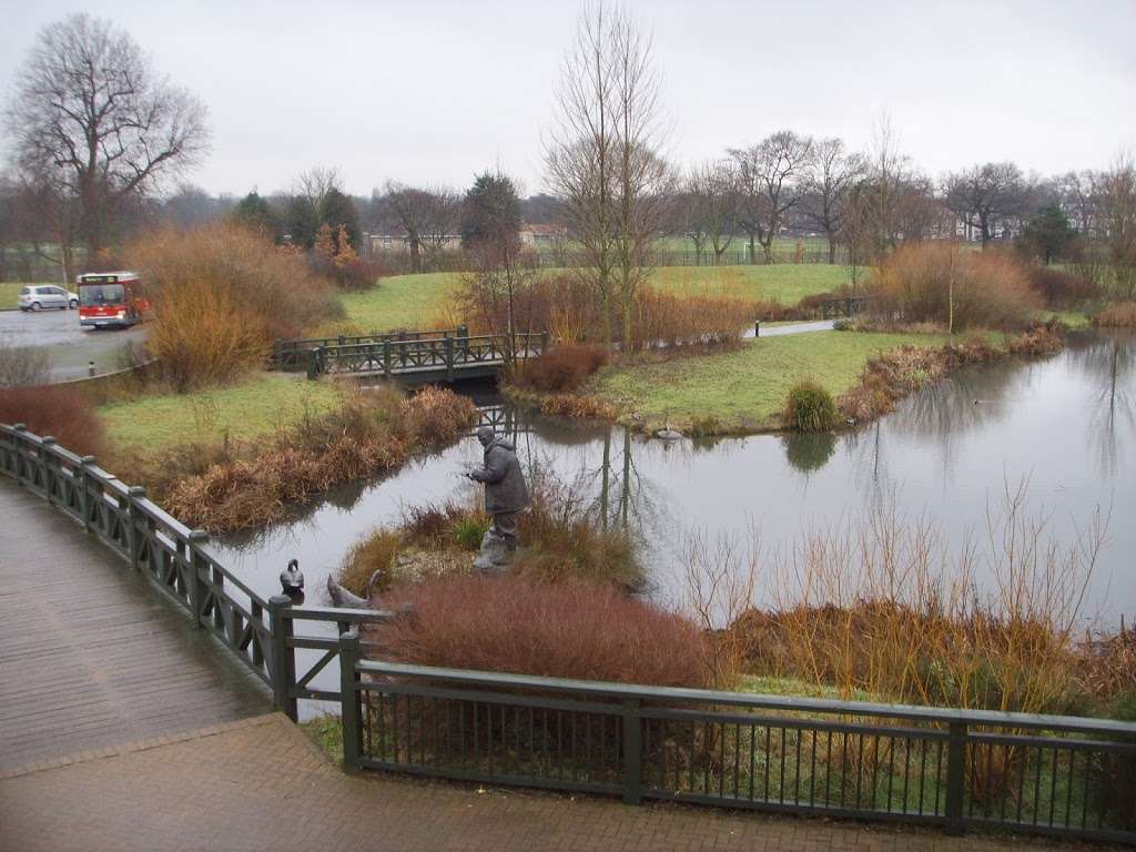 In Focus | The Wetland Centre, Queen Elizabeths Walk, Barnes, London SW13 9WT, UK | Phone: 020 8409 4433