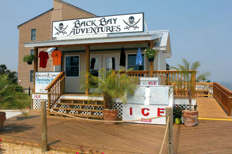 Back Bay Adventures: Jet Ski Rentals, Fishing Charters, & Jet Bo | 400 32nd St, Ocean City, MD 21842, USA | Phone: (443) 783-4633