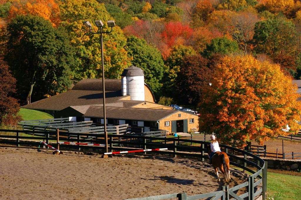 Willow Creek Farm | 522 N Georges Hill Rd, Southbury, CT 06488, USA | Phone: (203) 405-2727