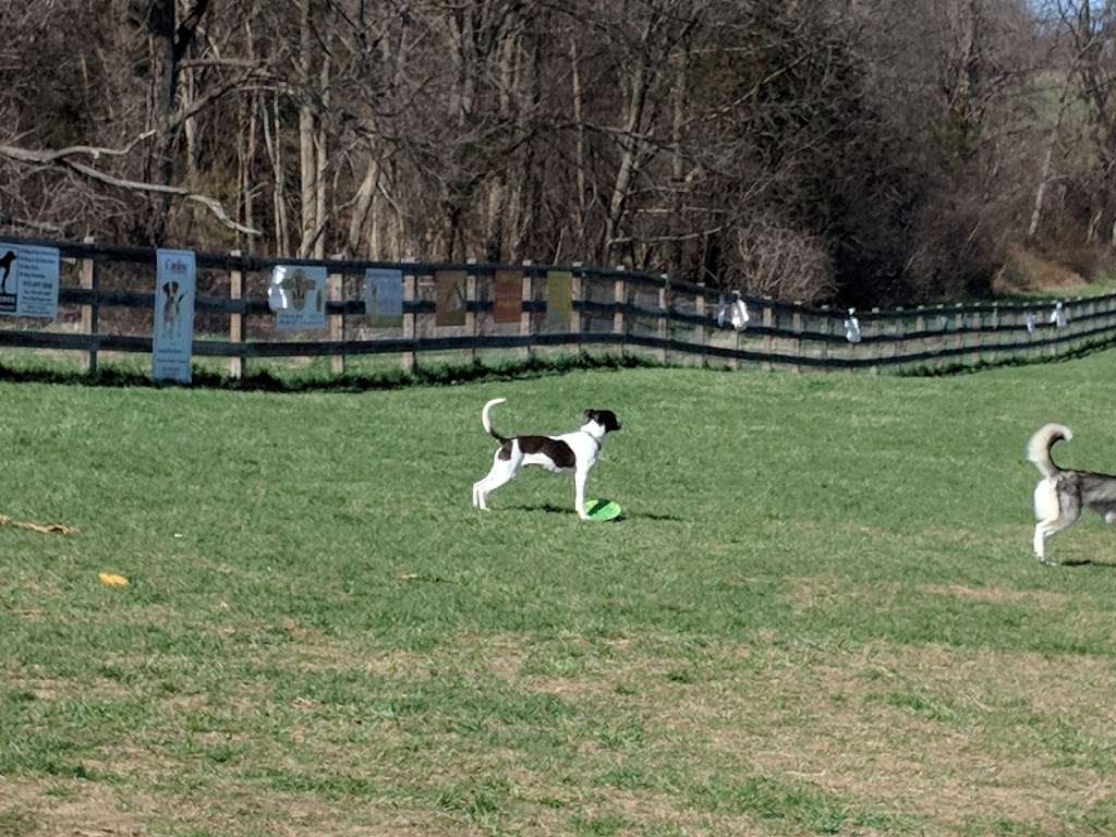 Vernon Dog Park | County Rd 517, Vernon Township, NJ 07462, USA | Phone: (201) 230-3973